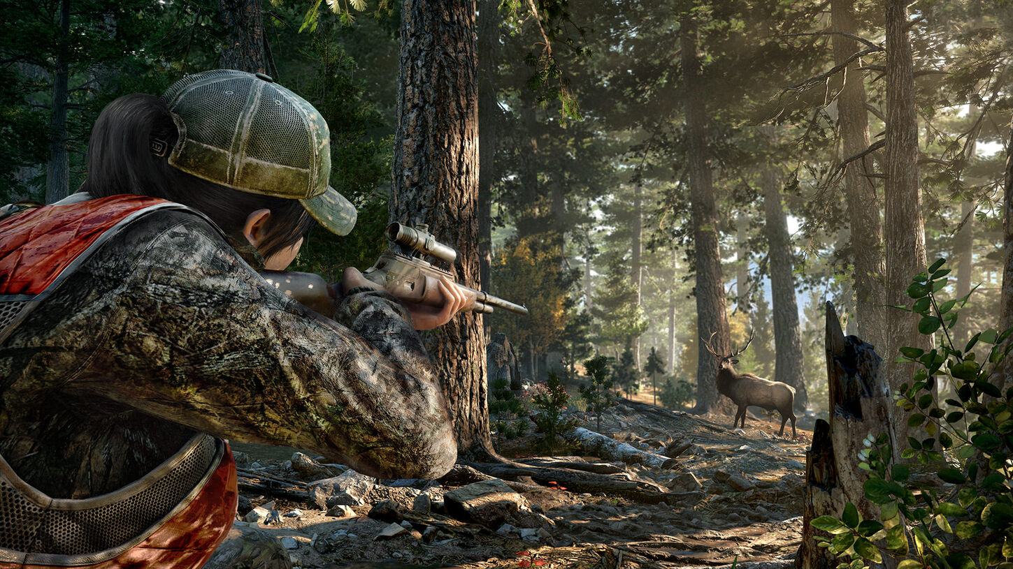 Far Cry 5, , large