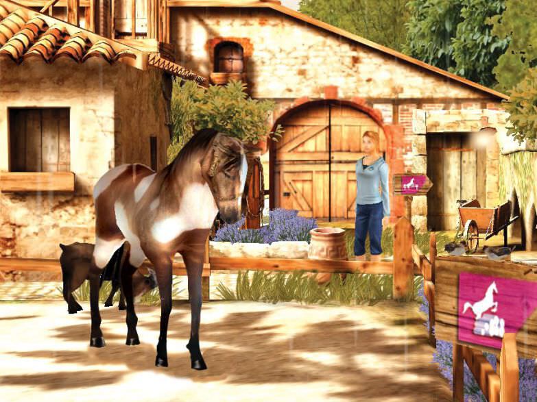petz horsez 2 pc how to enter competitions