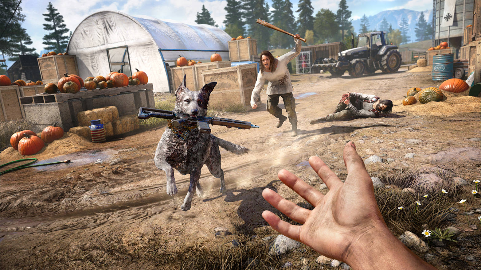 free download far cry 5 cilect free download far cry 5 cilect